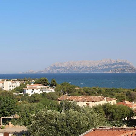 La Conchiglia Villa Олбия Екстериор снимка